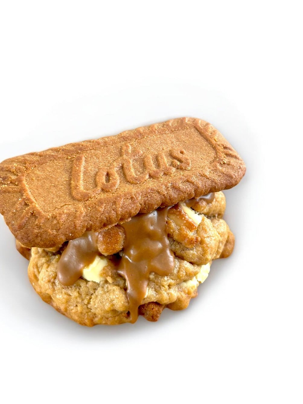 Lotus Biscoff cookie
